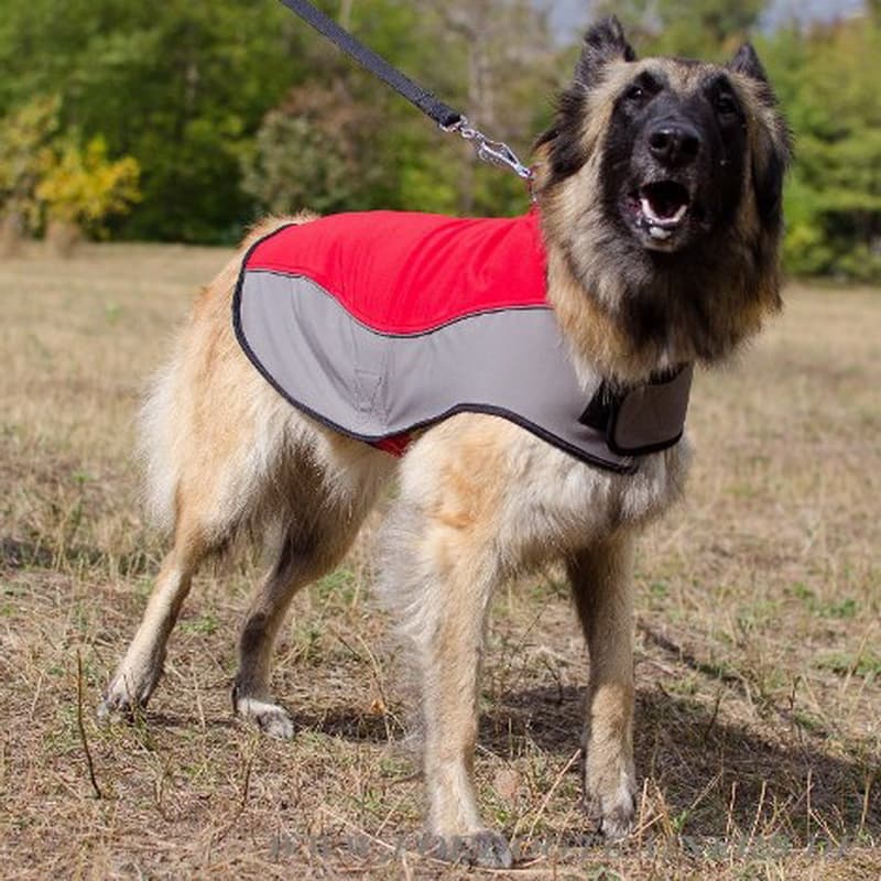 Нейлоновая шлея дождевик для тервюрена «Raincoat Cape»